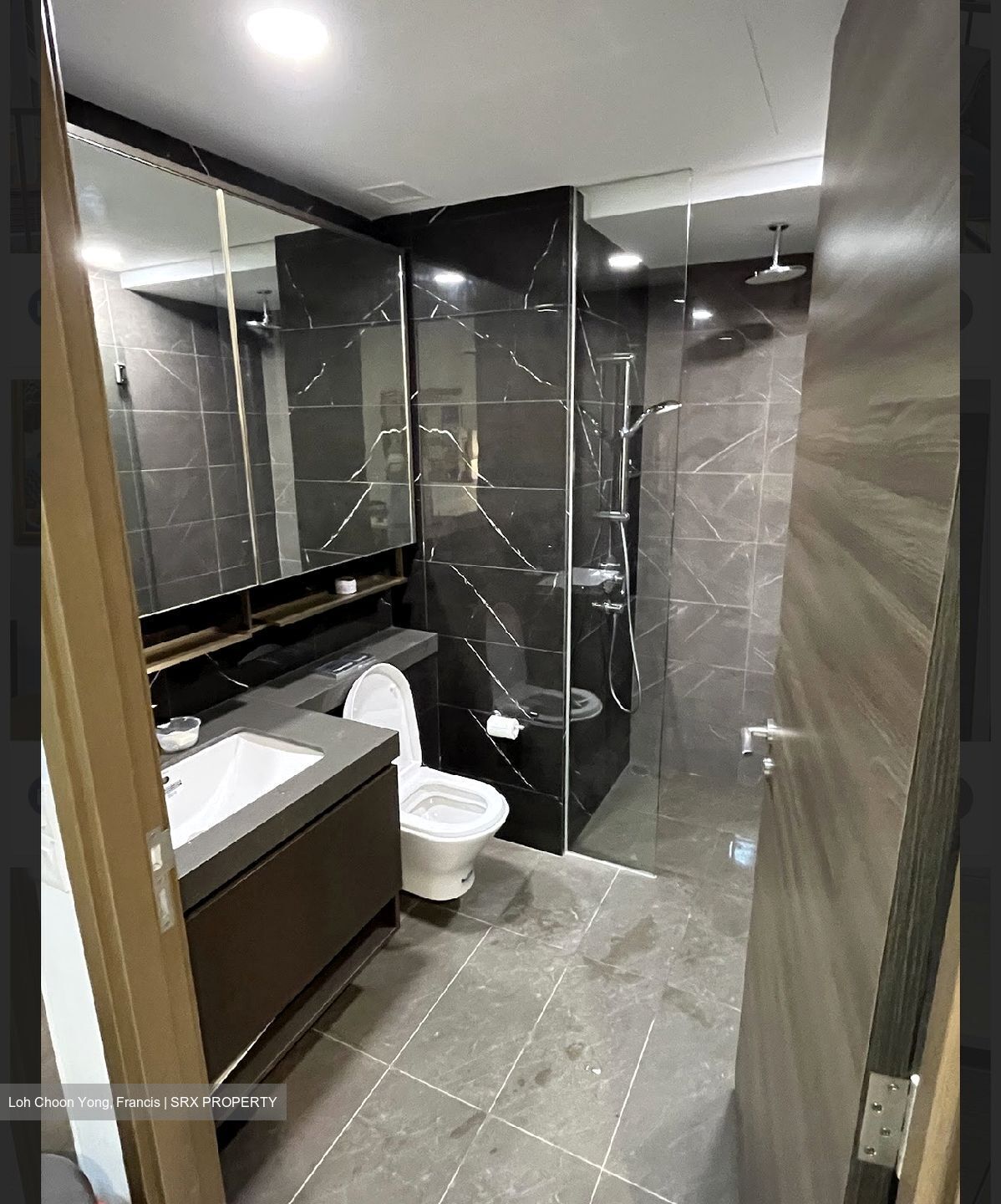 The Florence Residences (D19), Apartment #559984111